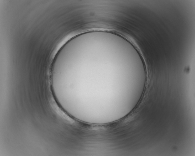 X0000113631243200909181257