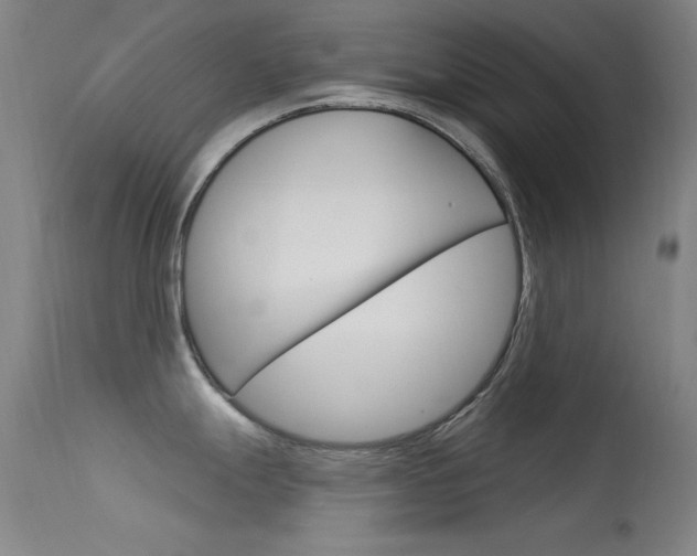 X0000113631247200909181257