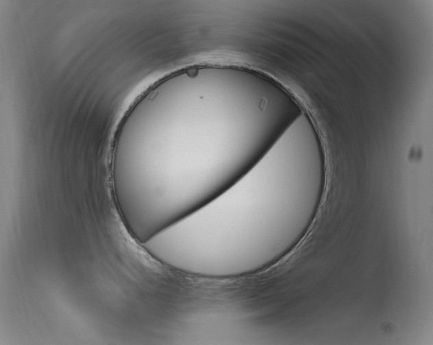 X0000113631248200909181257
