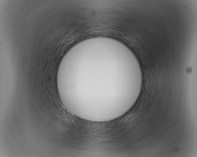 X0000113631249200909181256