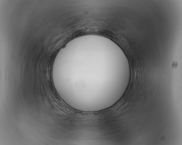 X0000113631250200909181256