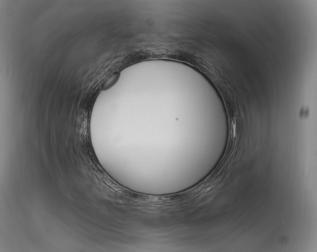 X0000113631251200909181256
