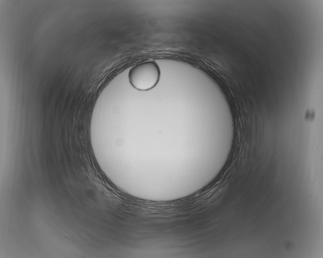 X0000113631252200909181256