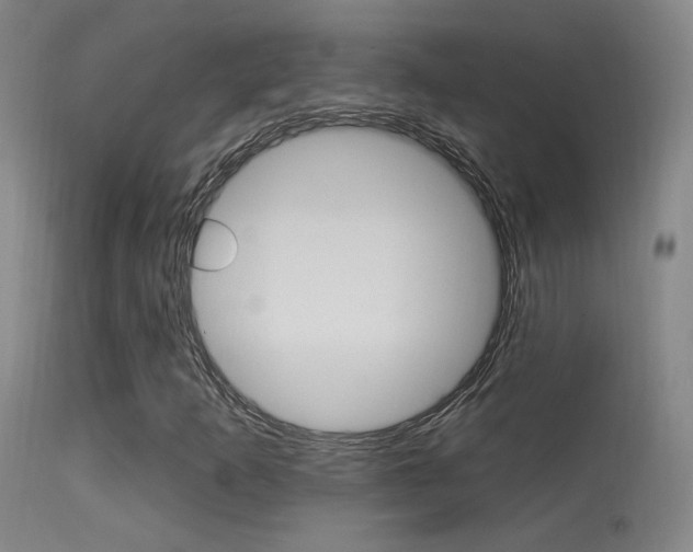 X0000113631253200909181256