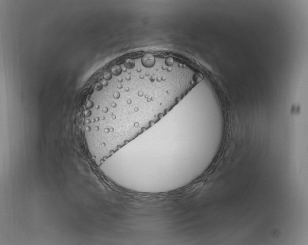 X0000113631255200909181256