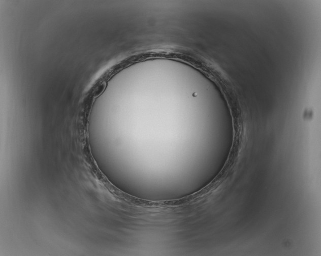 X0000113631256200909181256