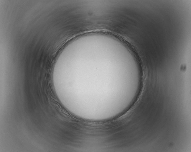 X0000113631257200909181256