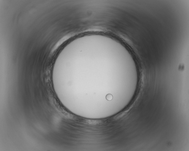 X0000113631258200909181256