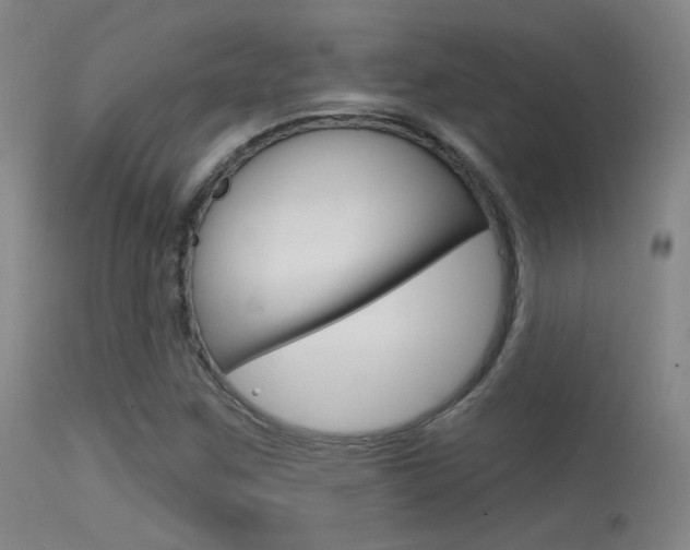 X0000113631259200909181256