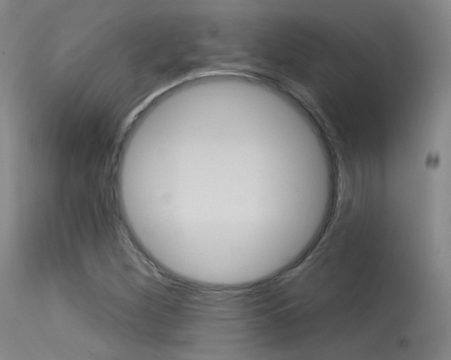 X0000113631260200909181256