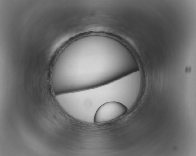 X0000113631263200909181256