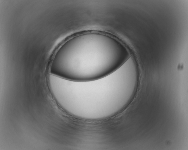 X0000113631264200909181256