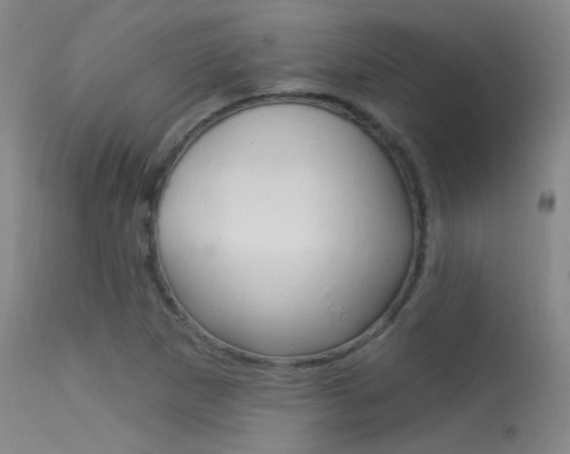 X0000113631265200909181256