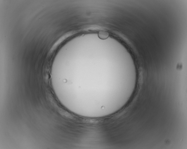 X0000113631266200909181256