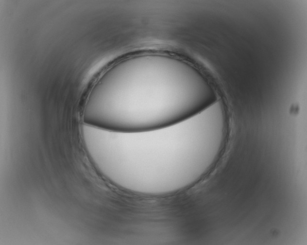 X0000113631267200909181256