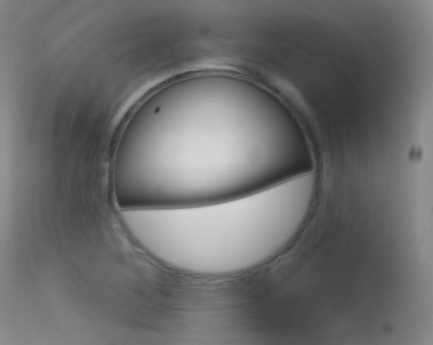 X0000113631268200909181256