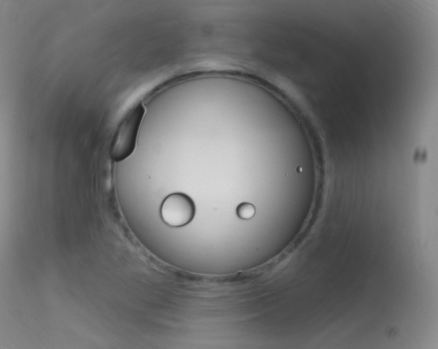 X0000113631269200909181256