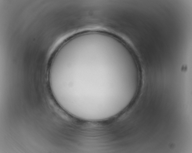 X0000113631270200909181256