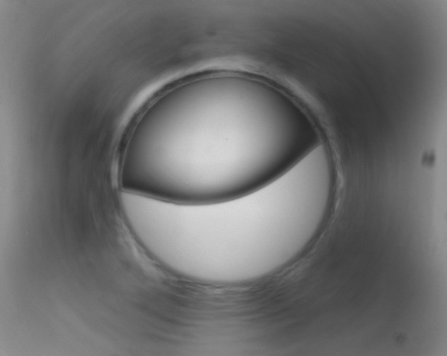 X0000113631272200909181256