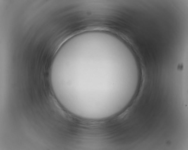 X0000113631273200909181256