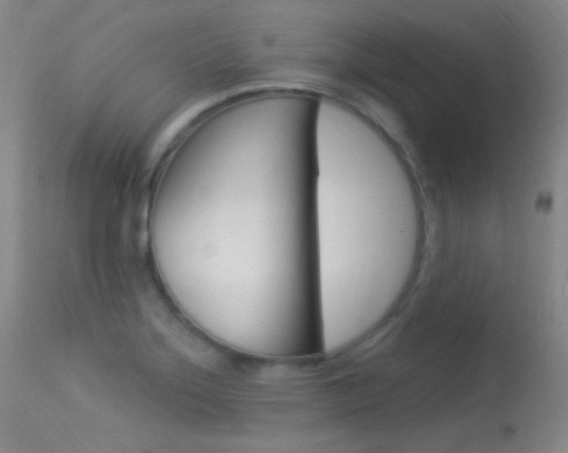 X0000113631275200909181256