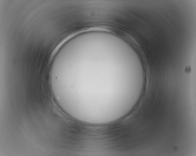 X0000113631276200909181256