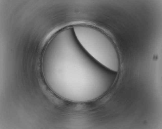 X0000113631279200909181256