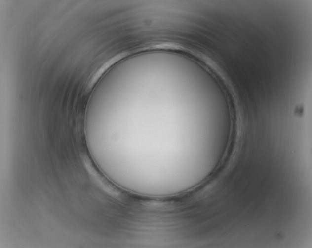 X0000113631281200909181256