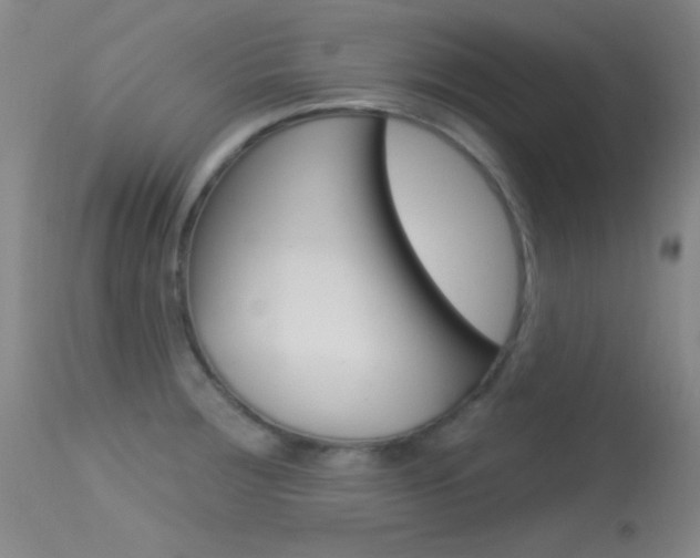X0000113631283200909181256