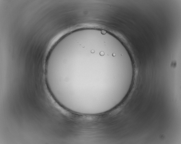 X0000113631286200909181256
