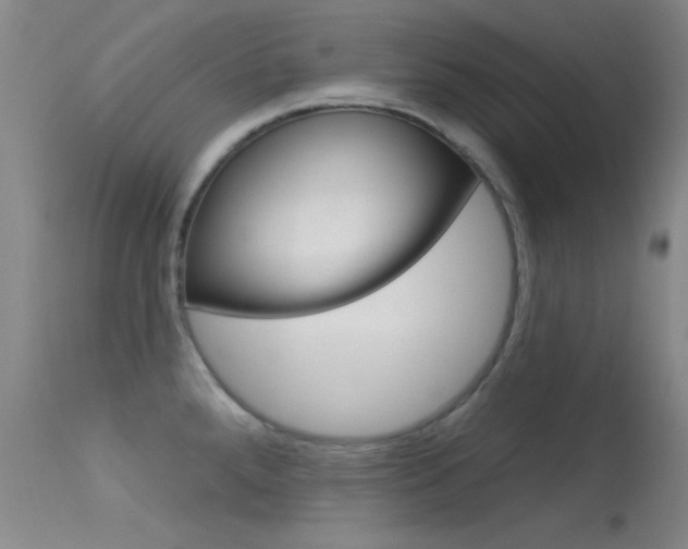 X0000113631288200909181256