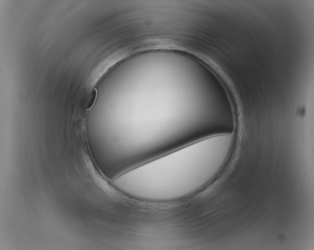 X0000113631289200909181256