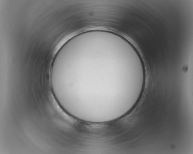 X0000113631290200909181256