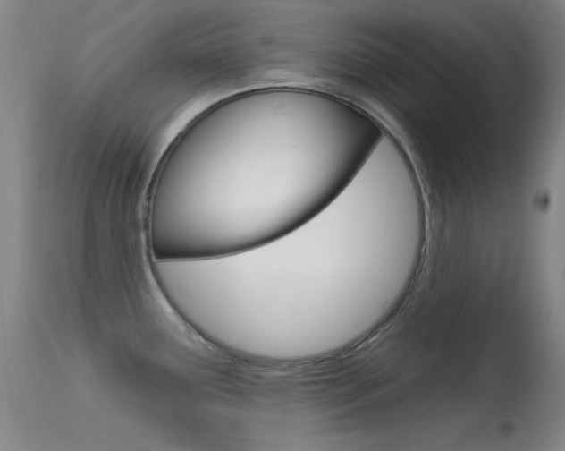 X0000113631291200909181256