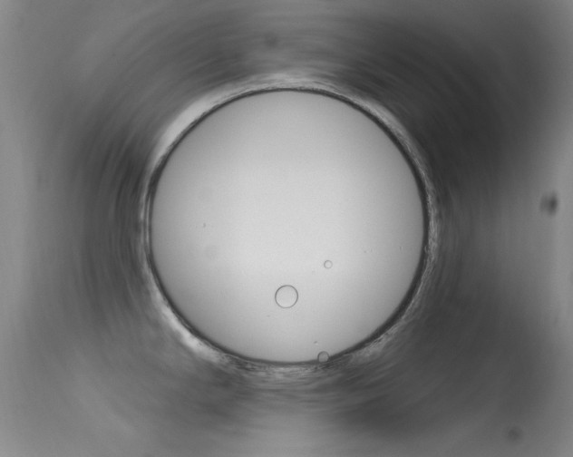X0000113631294200909181256