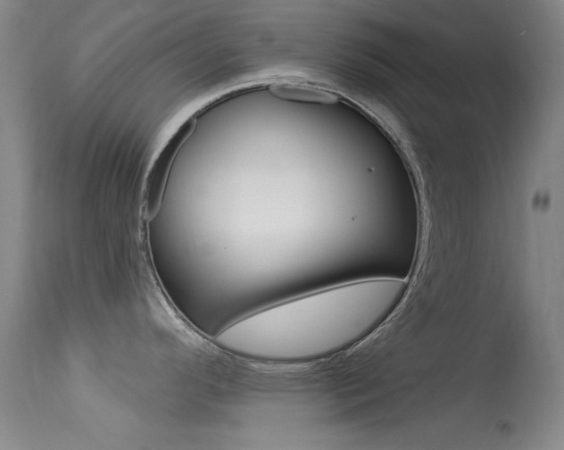 X0000113631296200909181256