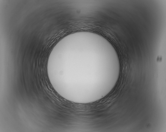 X0000113631298200909181255