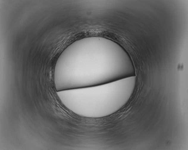 X0000113631299200909181255