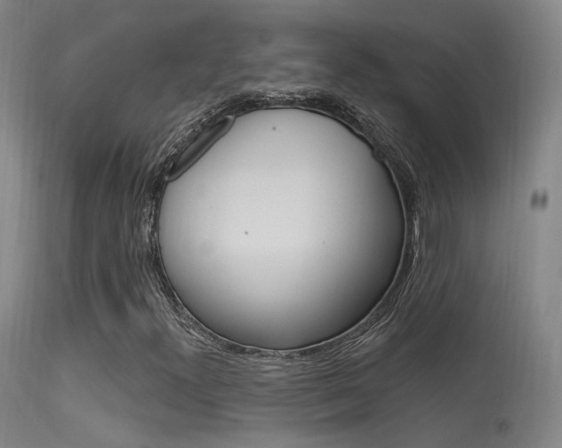 X0000113631300200909181255