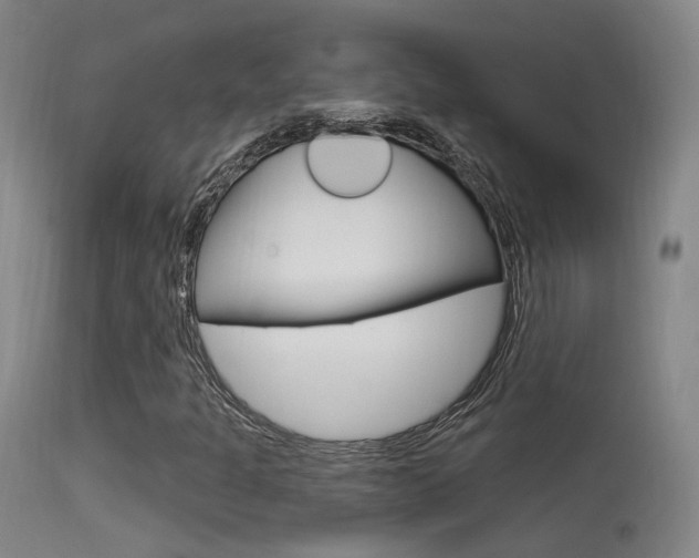 X0000113631301200909181255