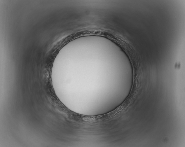 X0000113631302200909181255