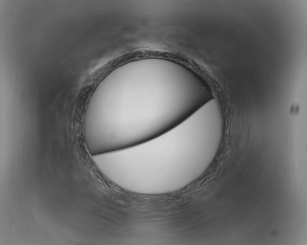 X0000113631303200909181255