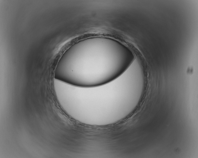 X0000113631304200909181255