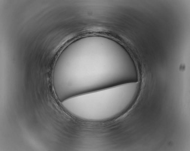 X0000113631305200909181255