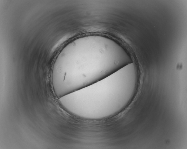 X0000113631306200909181255