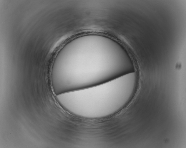 X0000113631307200909181255