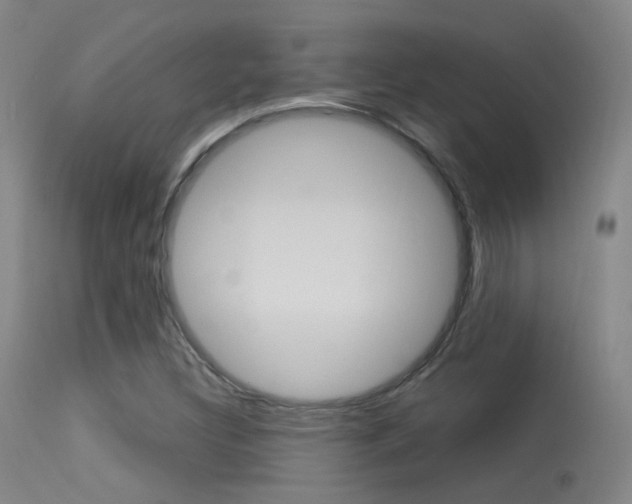 X0000113631308200909181255