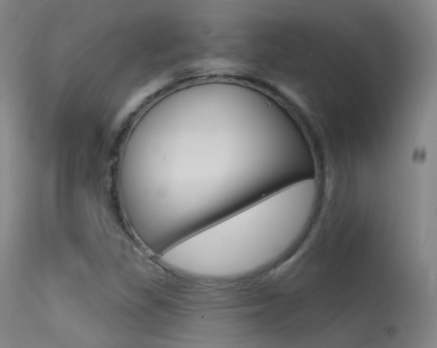 X0000113631309200909181255