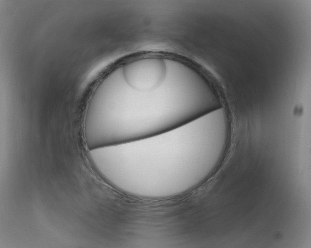 X0000113631311200909181255