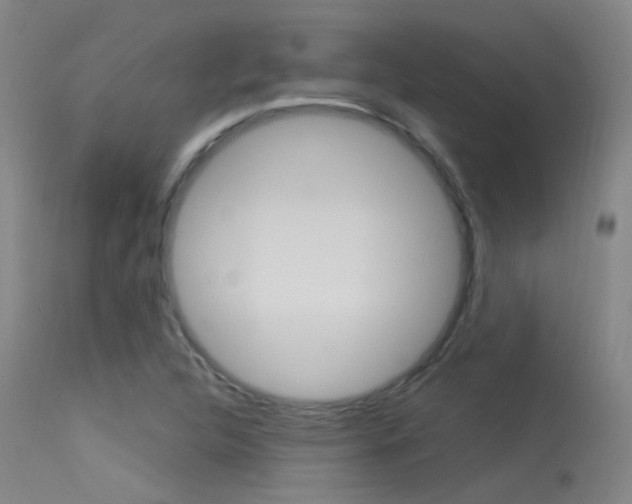 X0000113631312200909181255